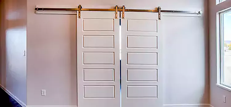 Glass Barn Door with Installation Hardware Kit Canton