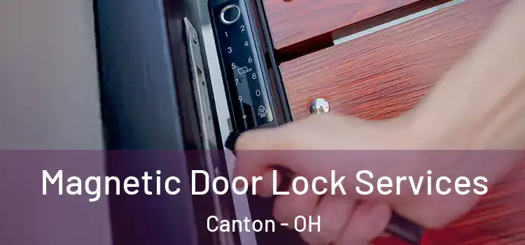 Magnetic Door Lock Services Canton - OH